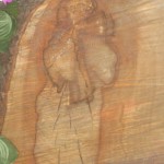 Икона Богородицы на срезе груши